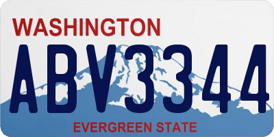 WA license plate ABV3344