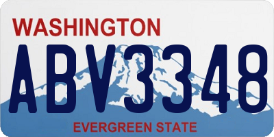 WA license plate ABV3348