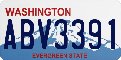 WA license plate ABV3391