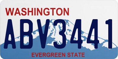 WA license plate ABV3441