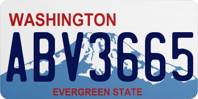 WA license plate ABV3665
