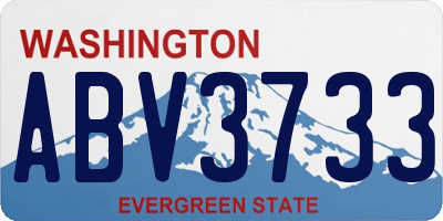 WA license plate ABV3733
