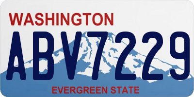 WA license plate ABV7229