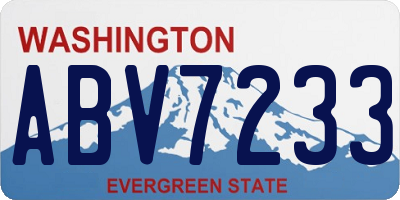 WA license plate ABV7233