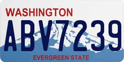 WA license plate ABV7239