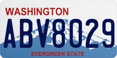 WA license plate ABV8029