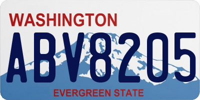 WA license plate ABV8205