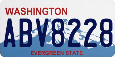 WA license plate ABV8228
