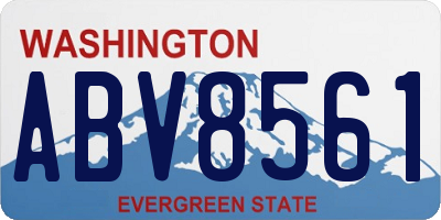 WA license plate ABV8561