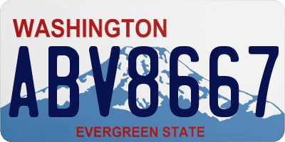 WA license plate ABV8667