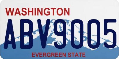 WA license plate ABV9005