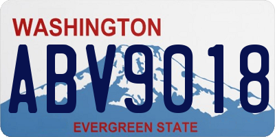WA license plate ABV9018