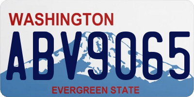 WA license plate ABV9065