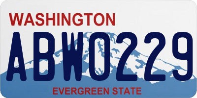 WA license plate ABW0229