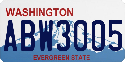WA license plate ABW3005