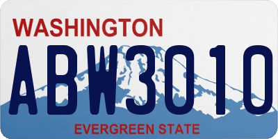 WA license plate ABW3010