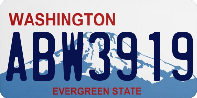 WA license plate ABW3919