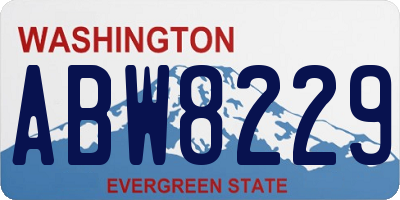 WA license plate ABW8229