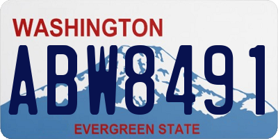 WA license plate ABW8491