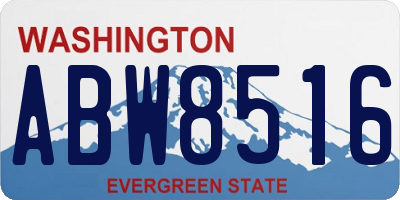 WA license plate ABW8516