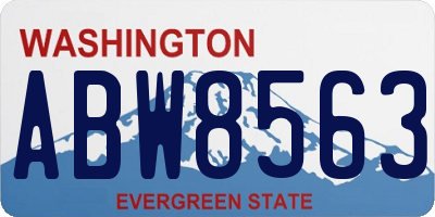 WA license plate ABW8563
