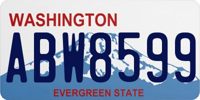 WA license plate ABW8599