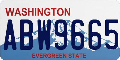 WA license plate ABW9665