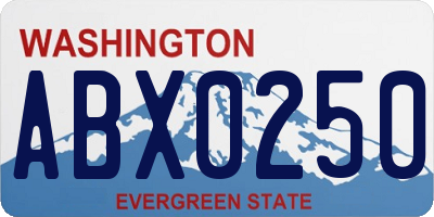 WA license plate ABX0250