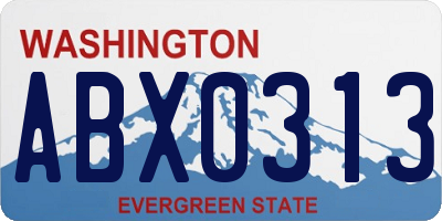 WA license plate ABX0313
