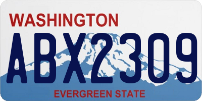WA license plate ABX2309