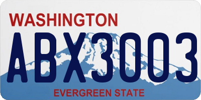 WA license plate ABX3003