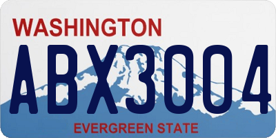 WA license plate ABX3004