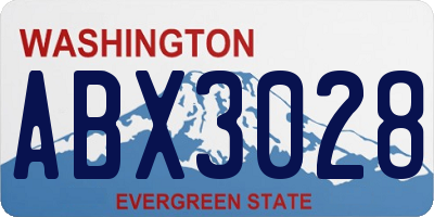 WA license plate ABX3028