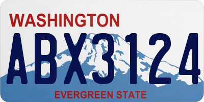 WA license plate ABX3124