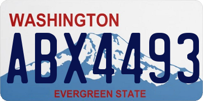 WA license plate ABX4493