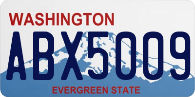 WA license plate ABX5009
