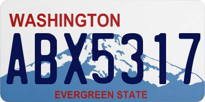 WA license plate ABX5317