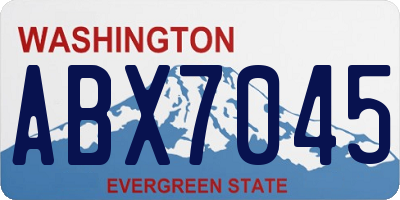 WA license plate ABX7045