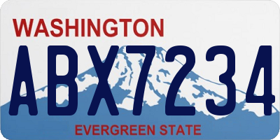 WA license plate ABX7234