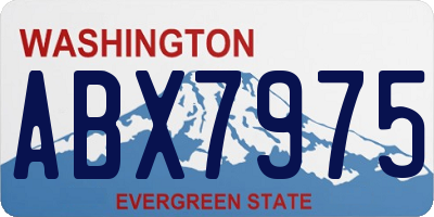 WA license plate ABX7975