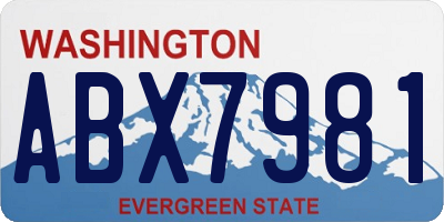 WA license plate ABX7981