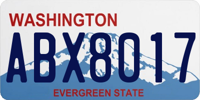 WA license plate ABX8017