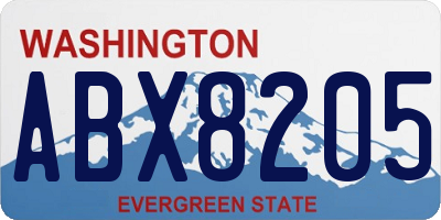 WA license plate ABX8205