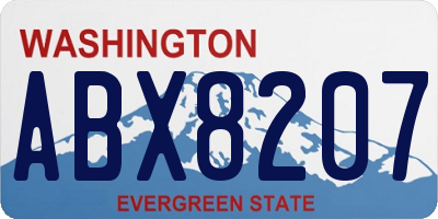WA license plate ABX8207