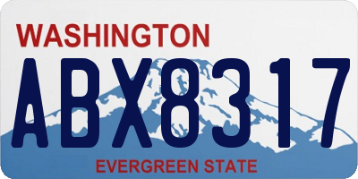 WA license plate ABX8317