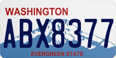WA license plate ABX8377