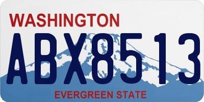 WA license plate ABX8513