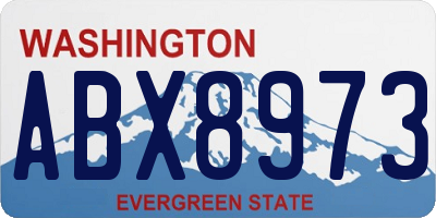 WA license plate ABX8973