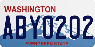 WA license plate ABY0202