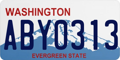 WA license plate ABY0313